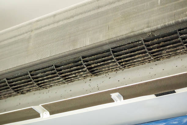 Best Dryer Vent Cleaning Services  in Port Neches, TX