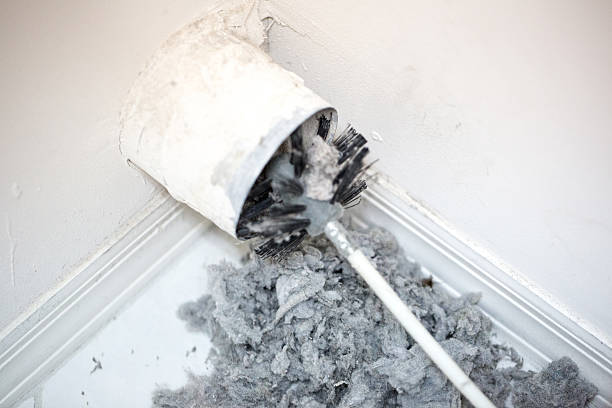 Best Air Duct Cleaning Near Me  in Port Neches, TX