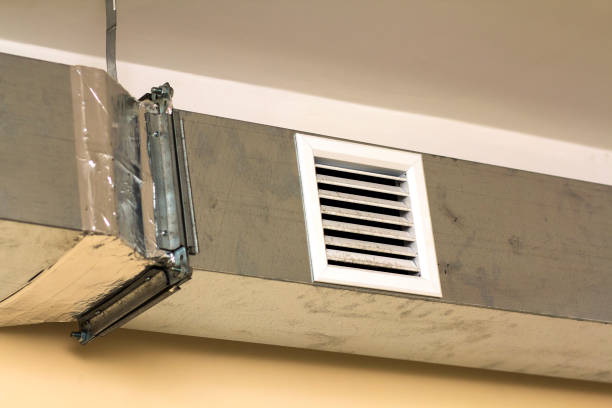 Best Air Vent Cleaning Services  in Port Neches, TX